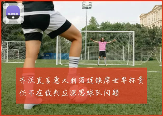 齐沃直言意大利若连缺席世界杯责任不在裁判应深思球队问题