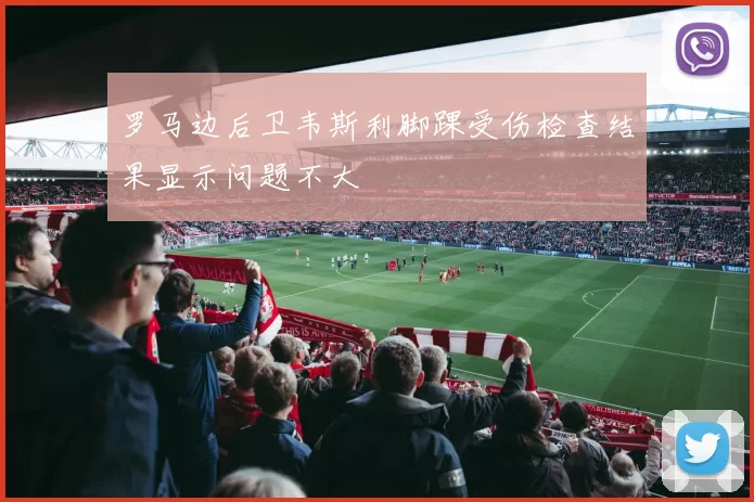 罗马边后卫韦斯利脚踝受伤检查结果显示问题不大